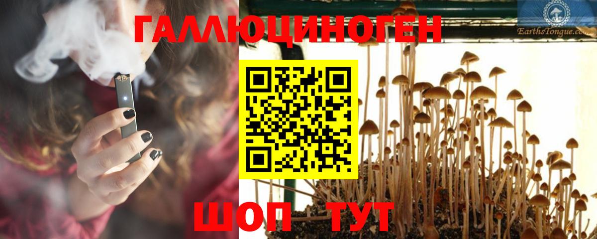 Псилоцибиновые грибы GOLDEN TEACHER  Вход с VPN  где продают наркотики  Галлюциногенные грибы прущие грибы  Ставрополь 
